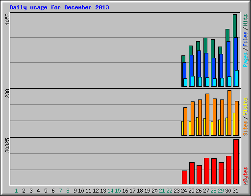 Daily usage for December 2013