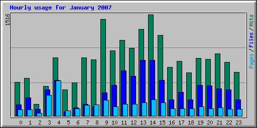 Hourly usage for January 2007