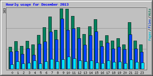 Hourly usage for December 2013