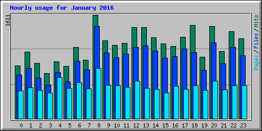 Hourly usage for January 2016