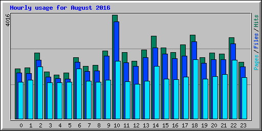 Hourly usage for August 2016