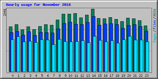 Hourly usage for November 2016