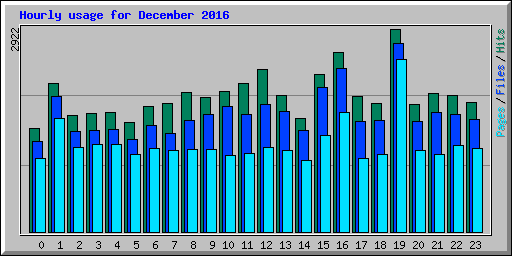Hourly usage for December 2016